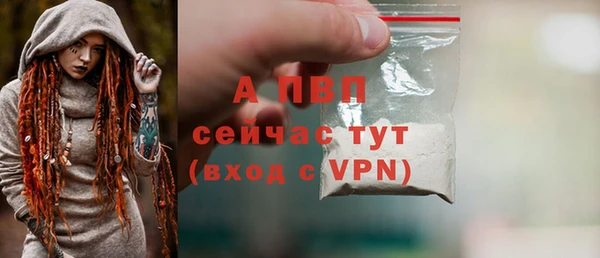 шишки Калининец