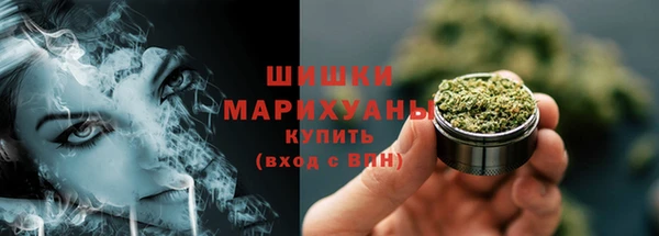 стаф Фёдоровский
