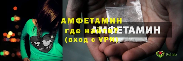 шишки Калининец