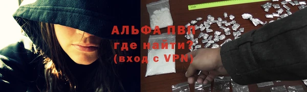 стаф Фёдоровский