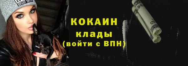 стаф Фёдоровский
