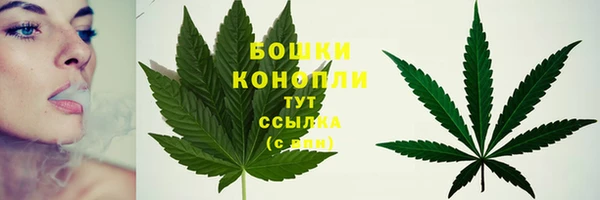 стаф Фёдоровский