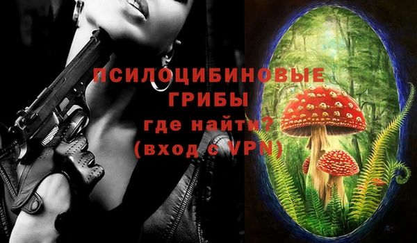 mdpv Нестеровская