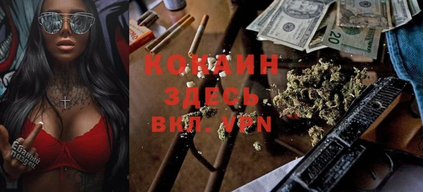 стаф Фёдоровский