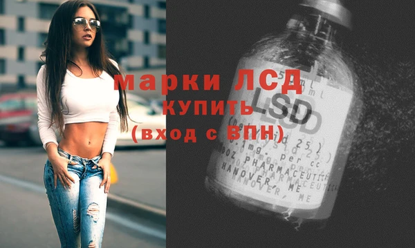 шишки Кущёвская
