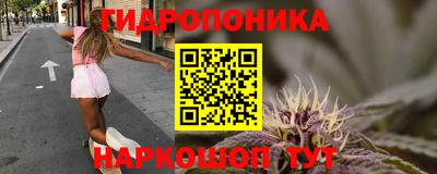 прущие грибы Заволжье