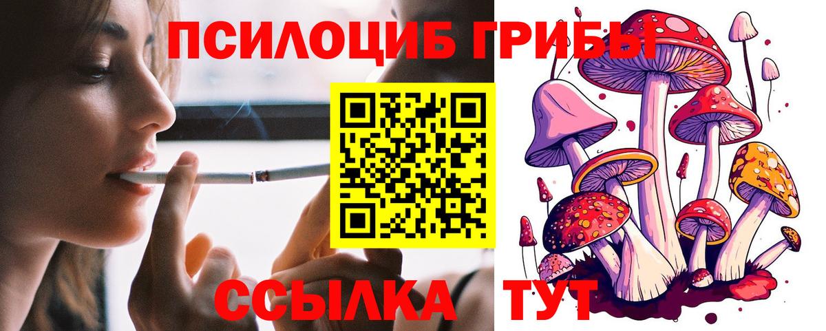 Коломна  Псилоцибиновые грибы прущие грибы  закладки  Вход с VPN 