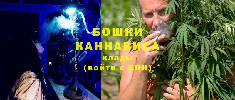 Канабис OG Kush  Коломна 